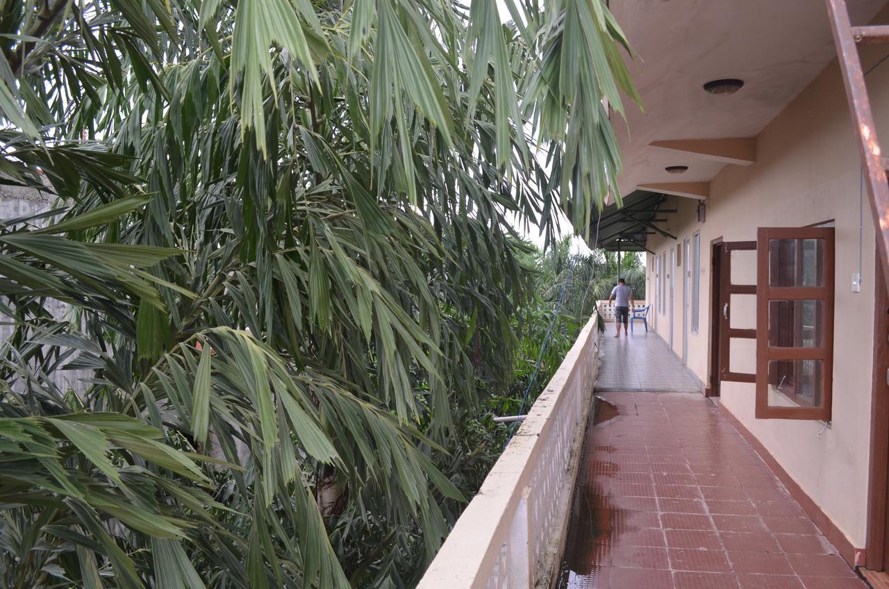 Hotel Jungle Vista Sauraha Eksteriør billede